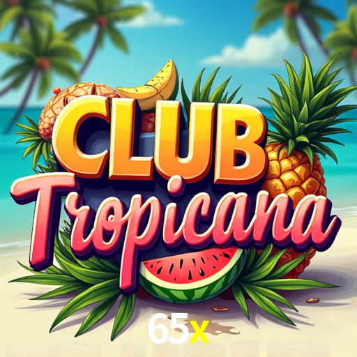 65x Rio de Janeiro - Bonus Terms